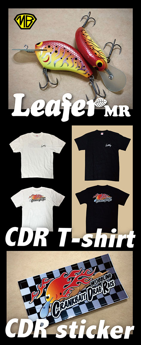 Leafer MR set.jpg